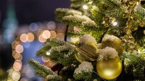 Губернатор свердловской области евгений куйвашев объявил 31 декабря выходным днем. Можно ли перенести выходной с 27 на 31 декабря: что ...
