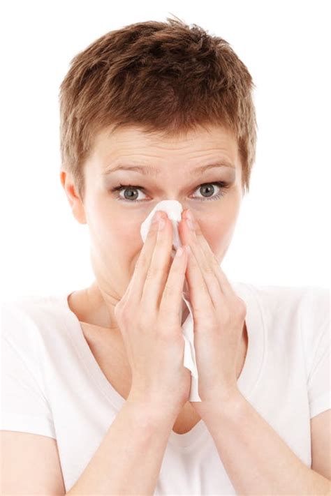Allergy Cold Disease Flu 41284 Kauri Health Care