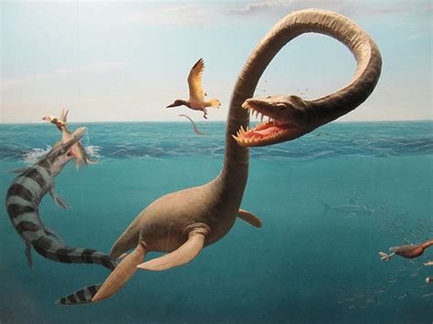 7 Terrifying Prehistoric Sea Monsters 》 Zestradar