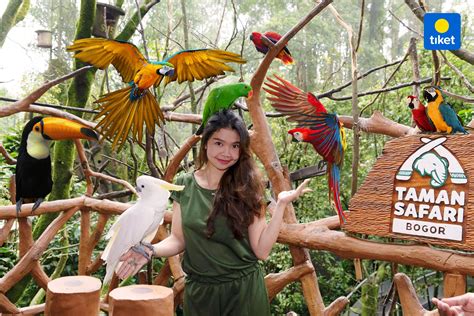 Taman Safari Indonesia Bogor Harga Tiket Promo Up To
