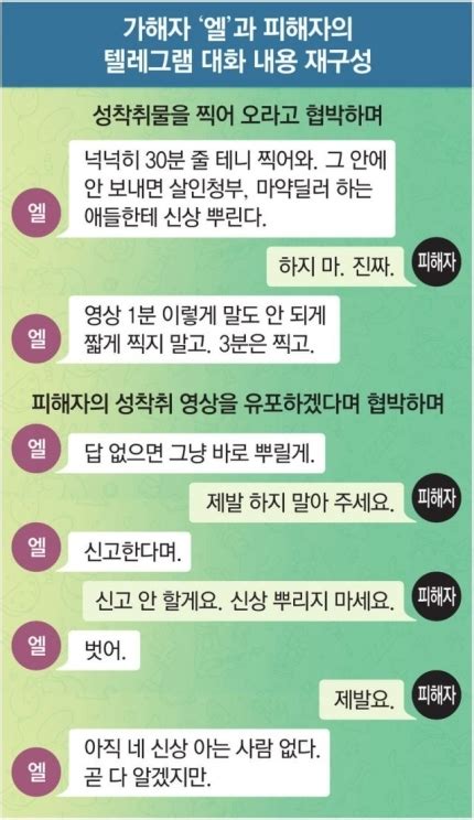 성착취물 추적단까지 사칭… 텔레그램 ‘제2 n번방 공범 등 가담자 최소 8명 이슈빠 쓰레빠닷컴