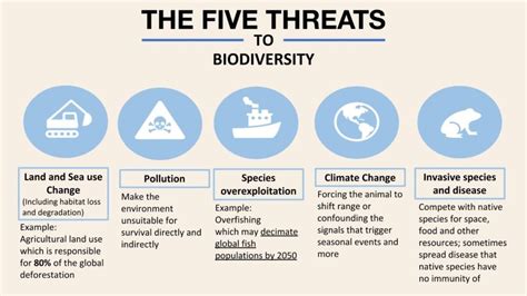 The Statistics Of Biodiversity Loss 2020 WWF Report Earth Org