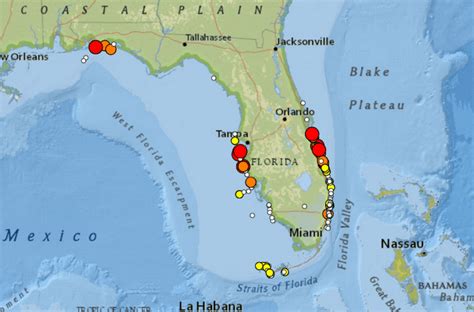Florida Hurricane Risk Map 2023 World Map