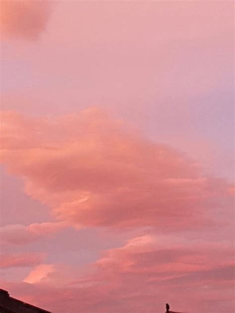 P I N K ♡ Tumblr Wallpaper Pastel Wallpaper Screen Wallpaper