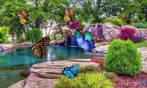 We offer an extraordinary number of hd images that will instantly freshen up your smartphone or computer. 3D Butterfly Live Wallpaper for Android - APK Download