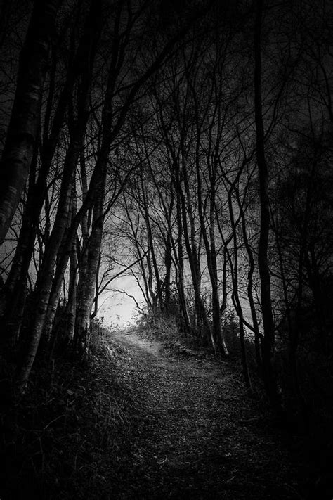 Gothic Horror Elements We See Dimly Now Dark Forest Dark