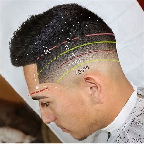 The reference to low, mid, and high simply talks to the area the fade is being performed on with clippers. Instagram photo by @barbersinctv (Barbers Inc®) - via ...