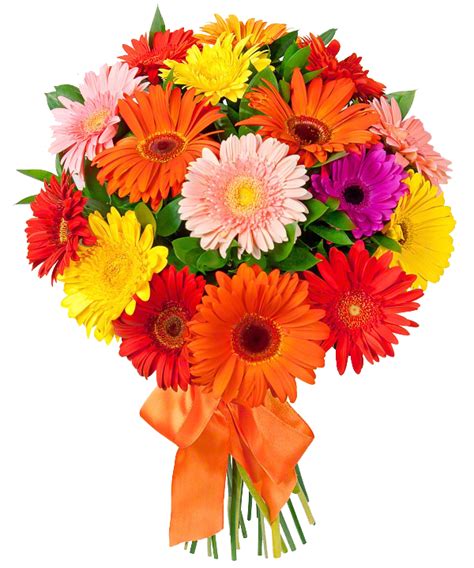 Bouquet Flowers Png Transparent Image Download Size 600x720px