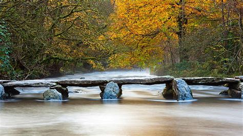Hd Wallpaper Nature Autumn Waters Tree River Landscape Season