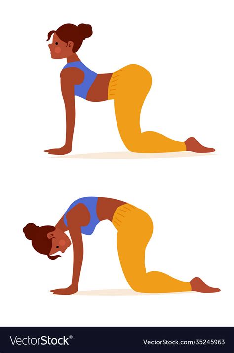 Woman In Yoga Cat Cow Pose Two Steps To Stretch Vector Image