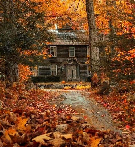Pin By Rita Leydon On Autumn Colours In 2020 Autumn Scenery