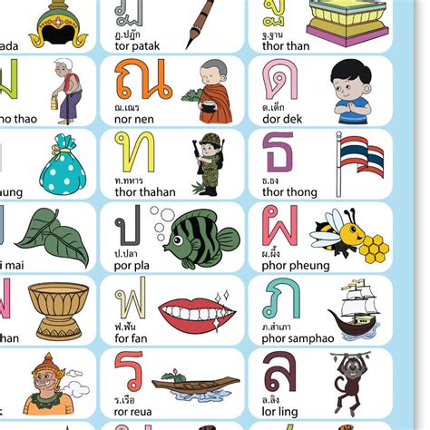 Thai Alphabets Poster High Resolution Pdf Learning Thai Etsy Australia