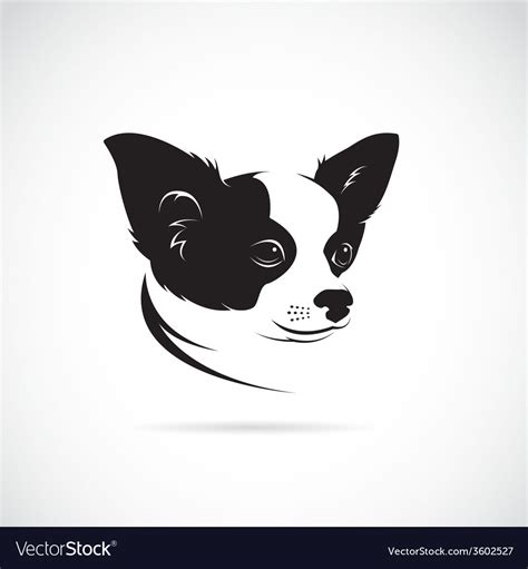 Image Of An Chihuahua Dog Royalty Free Vector Image