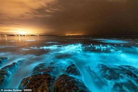 Fire Of The Sea Mesmerising Footage Of Bioluminescent Algae Glowing