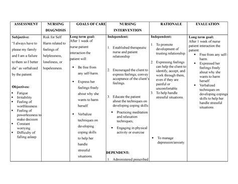 Ncp Risk For Suicide Docx Nursing Care Plan Assessmen