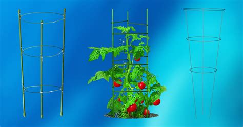10 Best Tomato Trellis 2020 Buying Guide Geekwrapped