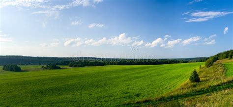 Beautiful Summer Landscape Stock Photo Image Of Leaves Forest 3227674