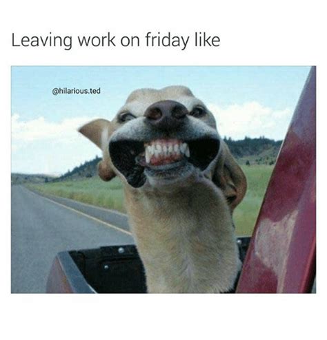 Leaving Work On Friday Like Ted Friday Meme On Meme