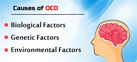Ocd Disorder Signs Causes And Treatment