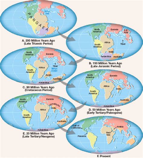 Solved During The Breakup Of Pangaea Which Continent Was Actu