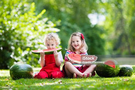 Kids Eating Watermelon In The Sunny Garden Stock Photo Download Image