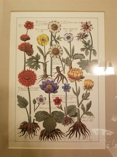 Botanical Encyclopedia Art At Edgefield Mcminnamins Edgefield