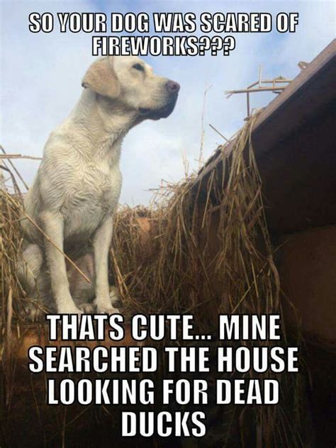 These Duck And Goose Hunting Memes Are Almost Fowl