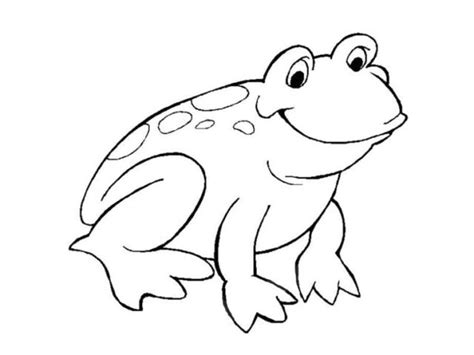 Coloriage toad Chat Dessins Gratuits Colorier Coloriage Grenouille