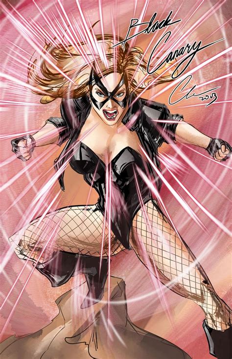 DCcomics Search Results Black Canary Batgirl Catwoman Black Canary Comic Arrow Black