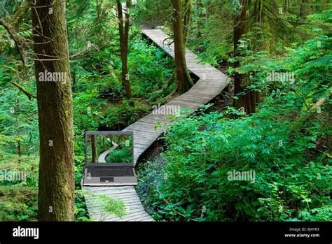 Success Path Hi Res Stock Photography And Images Alamy