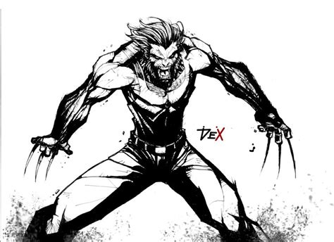 Wolverine By Nefar007 Bw Wolverine Comic Wolverine Art Wolverine