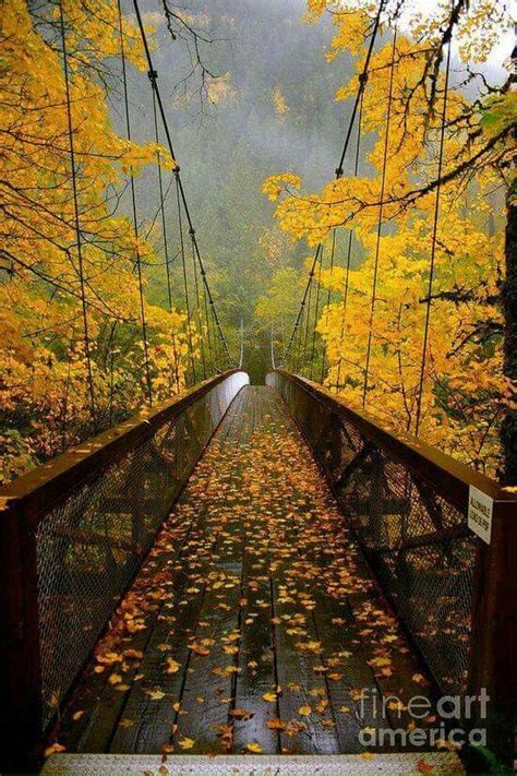 Mountain Bridge W Yellow Fall Leaves Живописные пейзажи Пейзажи