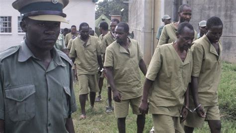 Zim Covid 19 Prisoners Given ‘hot Water As Treatment Says Chinono