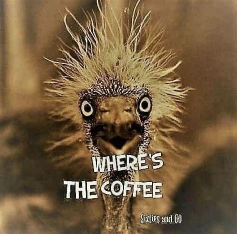 I Need Caffeine In 2021 Coffee Humor Clever Coffee Coffee Jokes