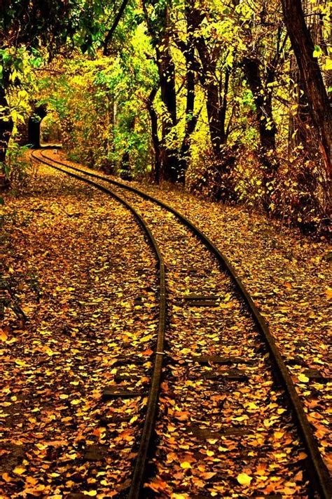 Pin By Lynn Franco On Railroad Tracks Nature Outdoor Pictures