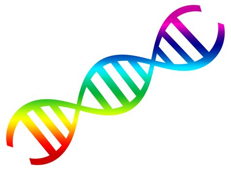 We did not find results for: PNGPIX-COM-DNA-Vector-PNG-Transparent-Image.png (4750×3500)
