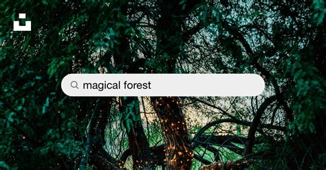 50000 Magical Forest Pictures Download Free Images On Unsplash