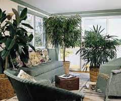 ✅ ideas para decorar interiores con plantas. Decoración con plantas de interior