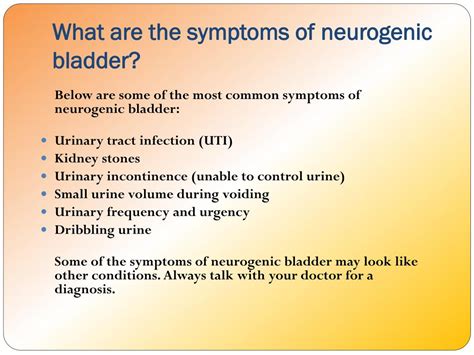Ppt Neurogenic Bladder Causes Symptoms Daignosis Prevention And Treatment Powerpoint
