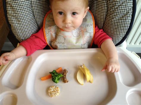 Baby led weaning foods 9 months. Fearless Feeding - Stay at Home Mum