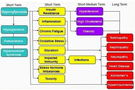 Complications Of Type 2 Diabetes Mellitus Download Scientific Diagram