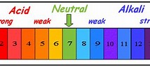 Image result for ph scale aqa