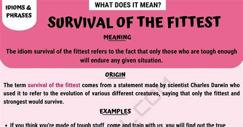 Survival Of The Fittest Definition And Examples Of This Useful Idiom
