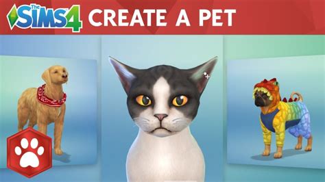 The Sims 4 Cats And Dogs Create A Pet Trailer Is Adorable J Station X