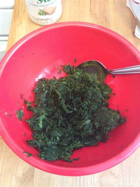 Maybe you would like to learn more about one of these? How to make chicken, spinach, and cheese ravioli stuffing ...
