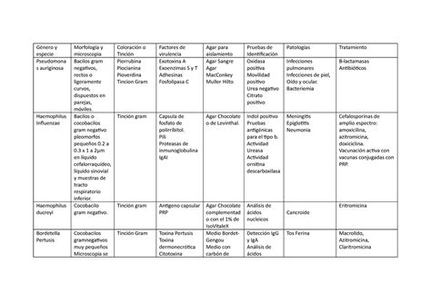 Cuadros Comparativos De Bacterias Clasificaci N Morfologia G Nero Y