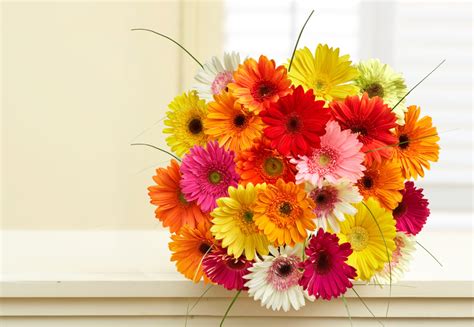 Most Cheerful Flowers To Brighten Someones Day Petal Talk