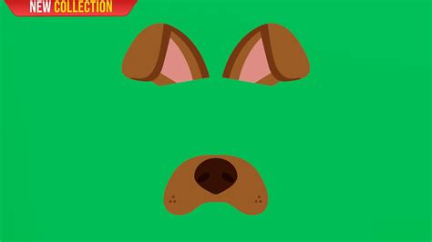 Green Screen Snapchat Dog Filter 4k Global Kreators Youtube