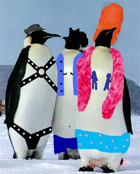 Gay Penguins Have Families The Luxury Spot