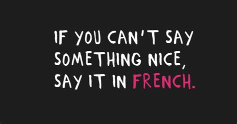 If You Cant Say Something Nice Say It In French